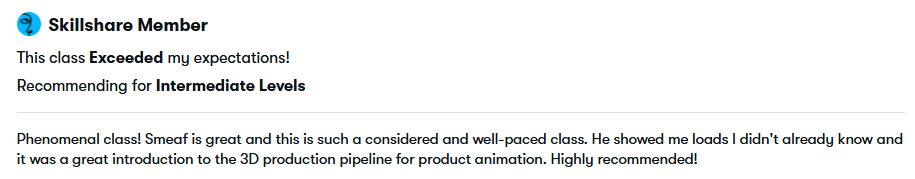 Skillshare review screenshot